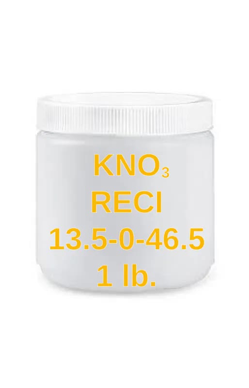 Potassium Nitrate RECI, 1 lb.