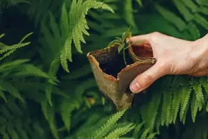 Fertilizer products designed for cannabis farming