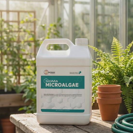 Sigma Microalgae 2.5 gallon jug product reveal video — container peels away to show whole-cell microalgae inside