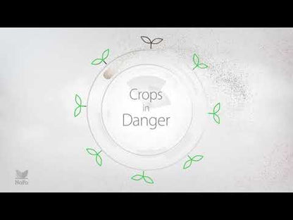 Haifa Multi-K Reci potassium nitrate 55 lb.