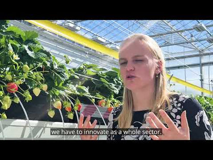 HaifaStim KIR biostimulant overview — chitosan and silicic acid liquid fertilizer for foliar and fertigation