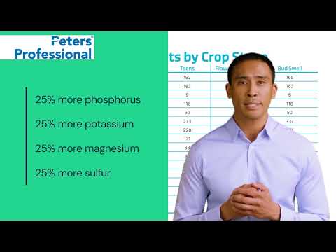 A brief video guide to using Peters Professional 0-15-30 Hydroponic Finisher.