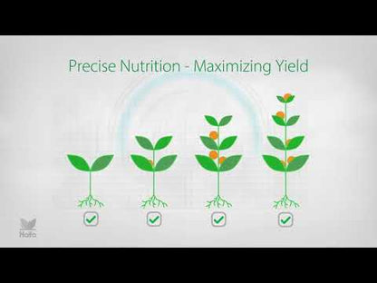 Haifa MKP 0-52-34 Fertilizer 55 lb