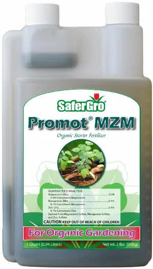Promot MZM Quart