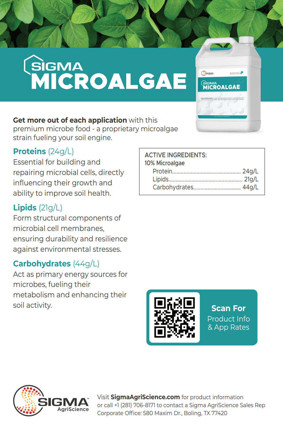Sigma Microalgae product flier page 2 — guaranteed analysis, nutritional profile, and compatibility notes for whole-cell microalgae liquid