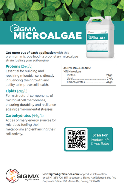Sigma Microalgae product flier page 2 — guaranteed analysis, nutritional profile, and compatibility notes for whole-cell microalgae liquid