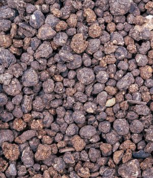 Sigma 2-4-2 Bio With Value-Added Biologicals | 50 lb.