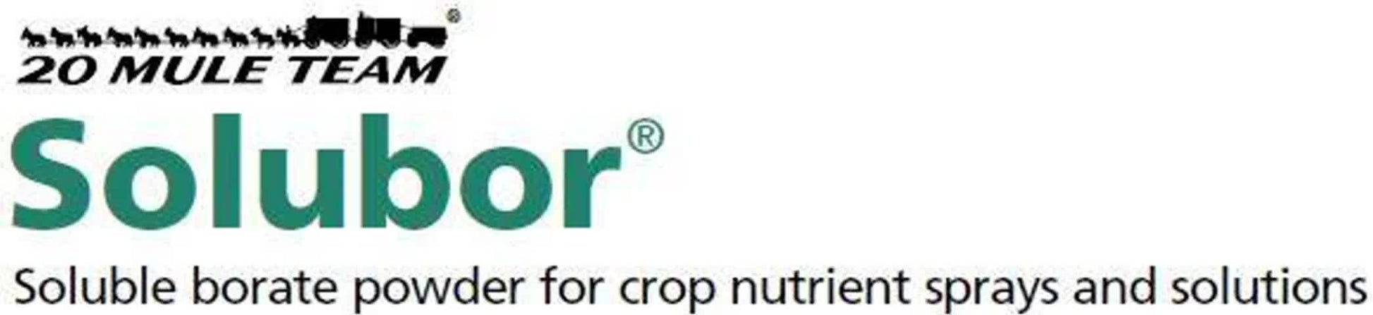 Solubor boron fertilizer 20 lb.